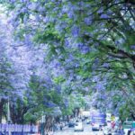 6-Day Authentic Yunnan & Heritage Trail Tour - The Experience and Logistics