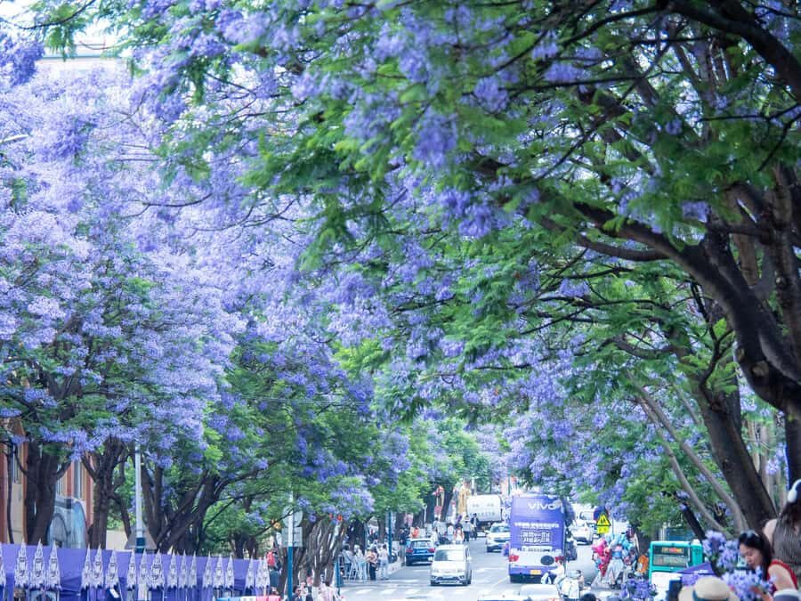 6-Day Authentic Yunnan & Heritage Trail Tour - The Experience and Logistics