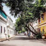 6-Day Classical Tamil Nadu Private Tour from Chennai - Who Should Consider This Tour?