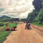 6-Day Nha Trang to Ho Chi Minh Motorbike Adventure - Easy Rider - Buon Ma Thuot: Cultural and Agricultural Highlights