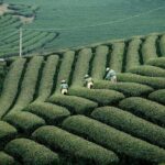 6 Days 5 Night Ha Long Bay, Ninh Binh and Sapa Tour - Transportation and Group Size