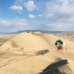 6 Days Private Tour in Gobi Desert - Who Should Consider This Tour?