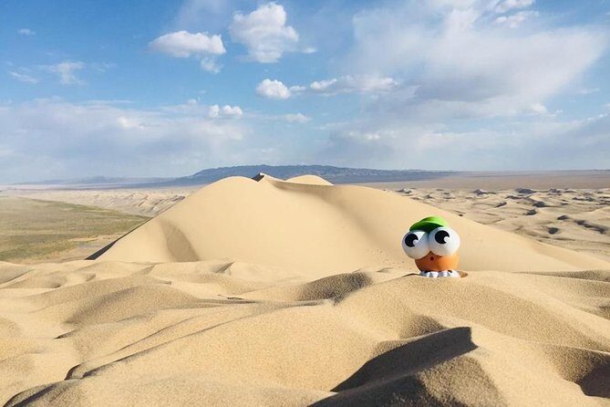 6 Days Private Tour in Gobi Desert - Who Should Consider This Tour?
