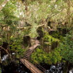 6Days 5Nighs Siem Reap Highlight(PREP5P) - What Sets This Tour Apart?