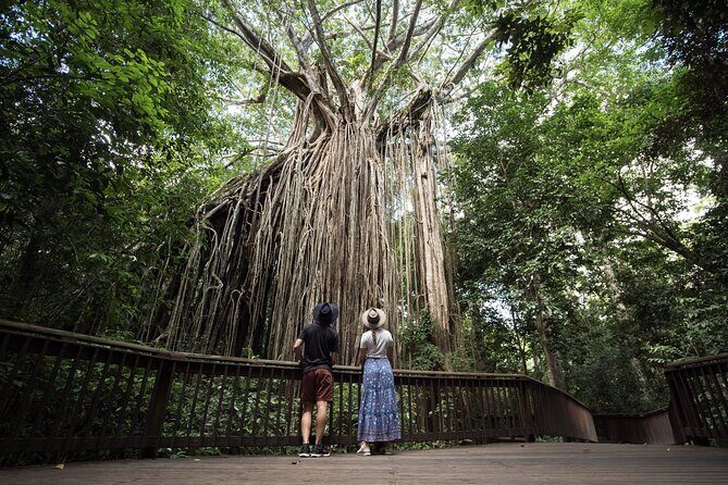 7 Day Brisbane to Cairns Boutique Whitsundays Great Barrier Reef - Who Will Love This Tour?