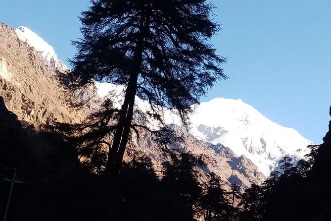 7 Day Guide Only for Private Langtang Trek from Kathmandu - Day 3: Into the Heart of Langtang Valley