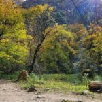 7-Day Langtang Valley Trek from Kathmandu - Why This Trek Offers Good Value