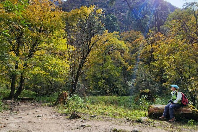 7-Day Langtang Valley Trek from Kathmandu - Why This Trek Offers Good Value
