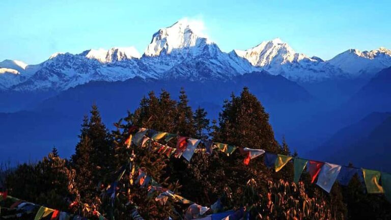 7-Day Poon Hill Trek with Guide and Accommodation - What to Expect: Comfort, Challenges, and Cultural Encounters