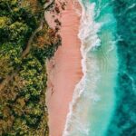 7 Day Sri Lanka Round Trip Culture, Nature and Safari Adventure - Who Will Love This Tour?