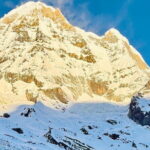 7 Days ABC Trek with Chitwan Safari Tour - The Itinerary Breakdown