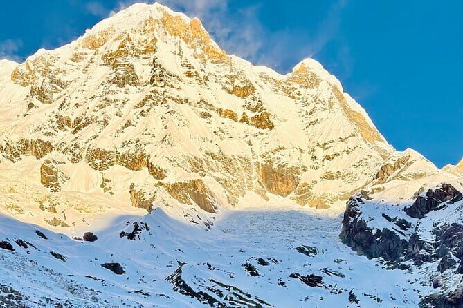 7 Days ABC Trek with Chitwan Safari Tour - The Itinerary Breakdown