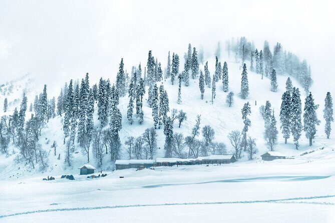 7 Days Private Travel Psychology Journey to Unseen Kashmir - Final Thoughts