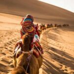 7 Days Silk Road Adventure with Desert Feast and Historical Sites - Who Will Love This Experience?