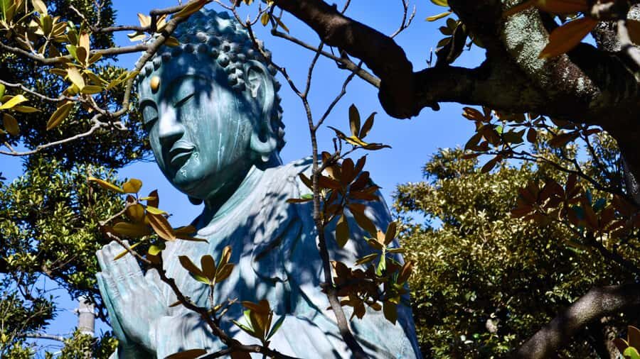 7 Gods of Fortune in Historic Tokyo: Temples of Yanaka - What Sets This Tour Apart