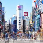 7 Hour Private Tour of Tokyo - Transportation & Timing: What’s It Like?