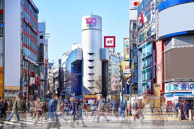 7 Hour Private Tour of Tokyo - Transportation & Timing: What’s It Like?