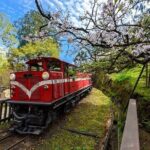 8-Day Private Taiwan Grand Island Discovery - Transportation, Price, and Value