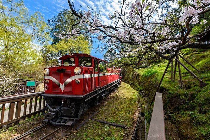 8-Day Private Taiwan Grand Island Discovery - Transportation, Price, and Value