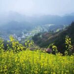 8-Day Shanghai, Water Village, Hangzhou, Yellow Mt and Hamlets - Who Will Love This Tour?