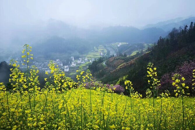 8-Day Shanghai, Water Village, Hangzhou, Yellow Mt and Hamlets - Who Will Love This Tour?