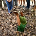 8 Day Tour in Vietnam from Ho Chi Minh to Hanoi - Final Thoughts: Who Is This Tour Perfect For?