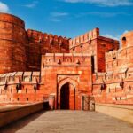 8 Days Golden Triangle Tour with Ranthambore Safari - The Price & Value