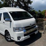 8 hour Okinawa Private Guide with Driver 1 to 8 guests - Transportation, Timing, and Group Dynamics