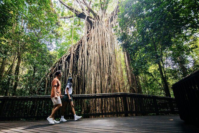 9 Day Brisbane to Daintree Whitsundays Great Barrier Reef Comfort - Practical Aspects and Value