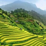 9 Days Northern Vietnam from the Mountain to the Bay - Who This Tour Is Best For