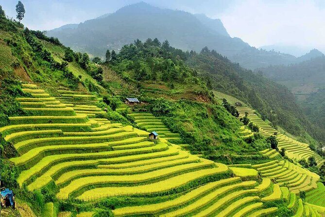 9 Days Northern Vietnam from the Mountain to the Bay - Who This Tour Is Best For