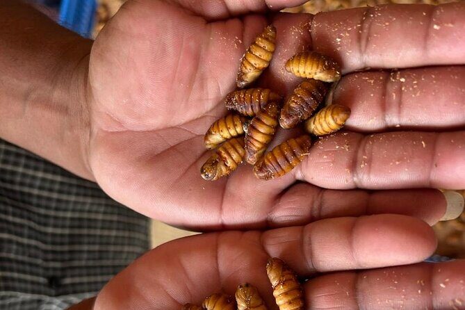 A 2-day trip through the Silk Route between Bangalore & Mysore - The Experience: What to Expect