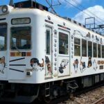 A Classic One-Day Tour from Kansai to Wakayama Prefecture - An In-Depth Look at the Journey