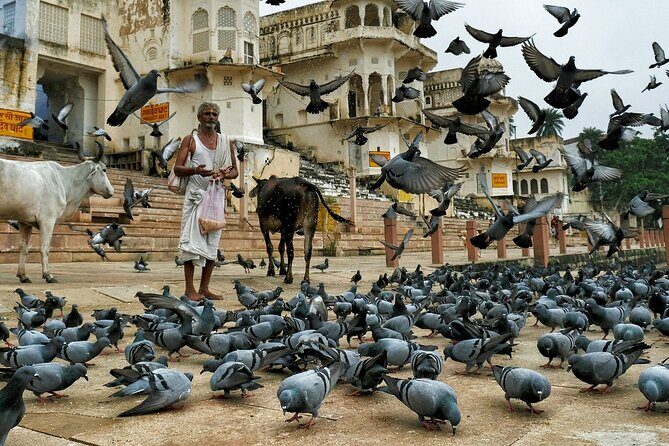 A Day Trip of Pushkar From Jaipur with Guide Service - Practical Tips and Considerations