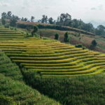 A Day Trip to Doi Inthanon Escape to Nature - Practical Details and Value