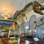 A Day Ulaanbaatar city tour - What’s Missing or to Consider