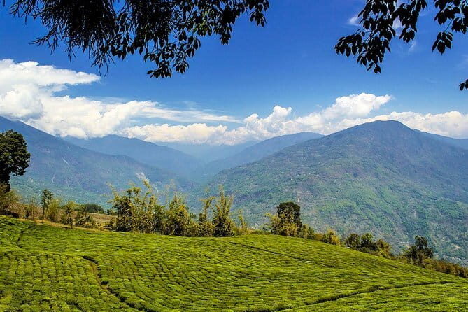 A Full Day Tour Of Darjeeling - Who Will Enjoy This Tour?