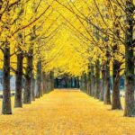 A Journey Through Time and Taste Seoul Experience - Who Should Consider This Tour?