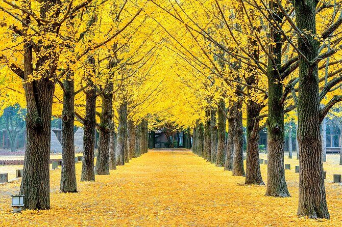 A Journey Through Time and Taste Seoul Experience - Who Should Consider This Tour?