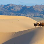 A Private Tour to Central Mongolia - Unique Experiences in the Wilderness