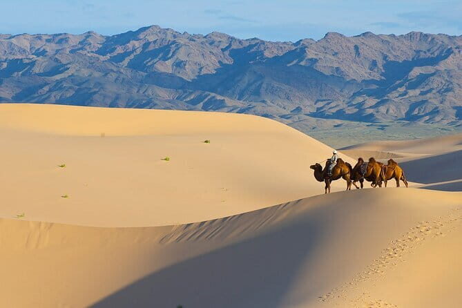 A Private Tour to Central Mongolia - Unique Experiences in the Wilderness