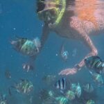 A snorkelling tour to Cebus Hilutungan - In-Depth Itinerary Breakdown