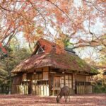 A Thousand Years in One Day: Kyoto & Nara Panoramic Tour - A Detailed Breakdown of the Tour Experience
