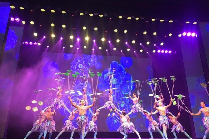 Acrobatics Show with Private Driver Service and Hotel Round Transfer - Who Will Love This Tour?