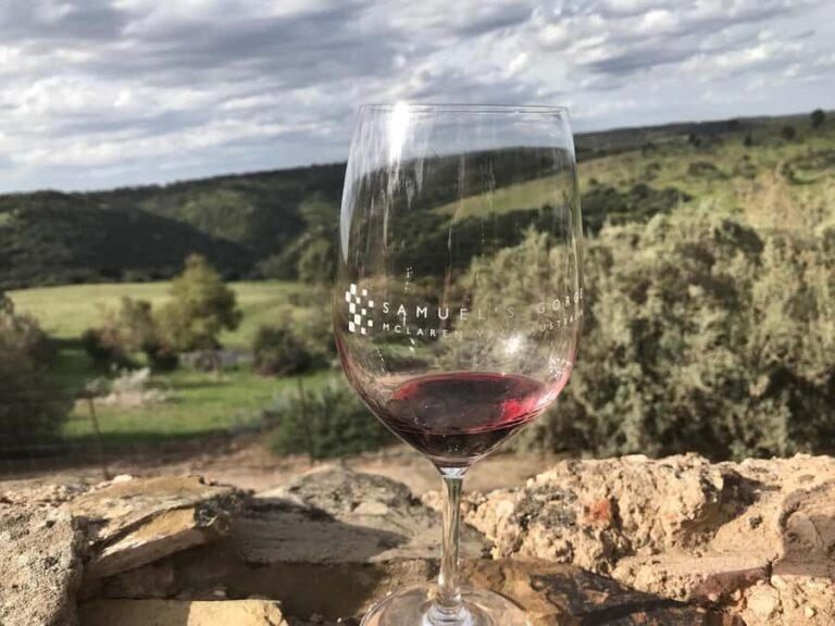 Adelaide: McLaren Vale Private WineTour+Your Chosen Tastings - A Closer Look at the McLaren Vale Private Wine Tour Experience