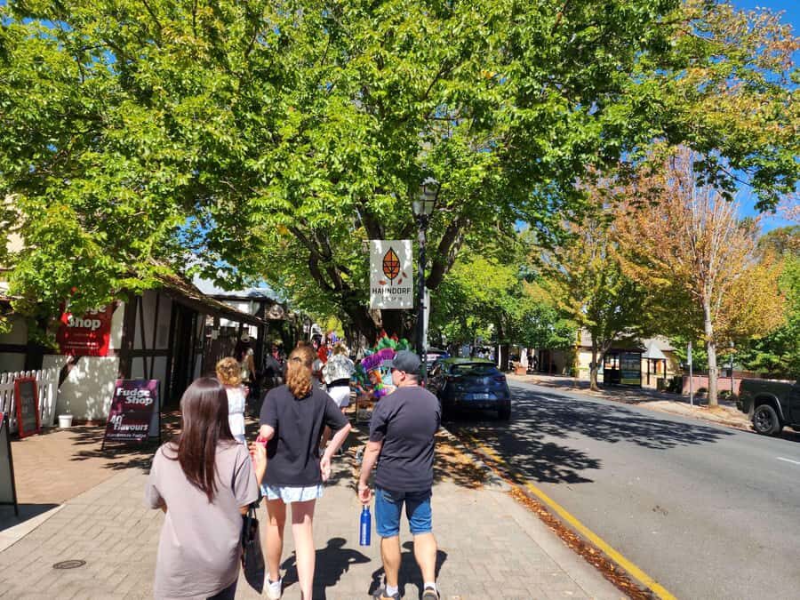 Adelaide: Premium Adelaide Hills Cleland and Hahndorf Tour - Practical Details and What to Expect