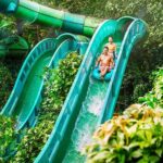 Adventure Cove Waterpark Tickets - What’s Included in the Ticket