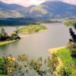 Affordable transfer from Kochi to Munnar - An In-Depth Look at the Transfer Experience