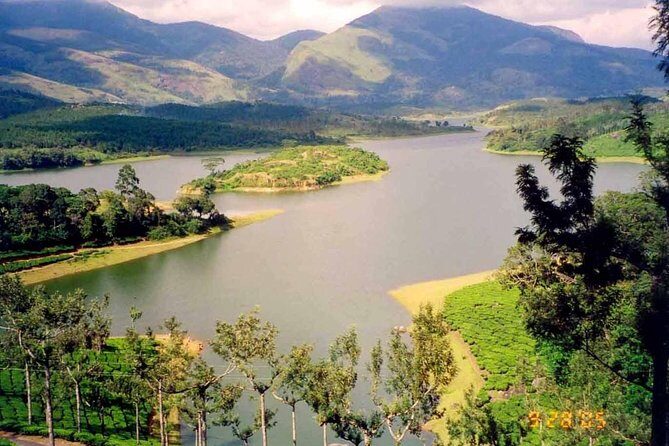 Affordable transfer from Kochi to Munnar - An In-Depth Look at the Transfer Experience