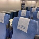 Afrosiyob high speed train tickets - Guaranteed Pass - Pros and Cons Based on Real Traveler Feedback